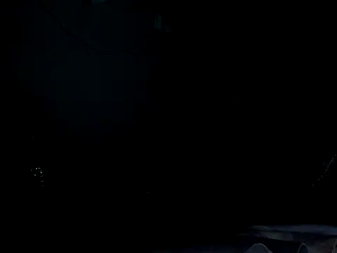 funalu webcam