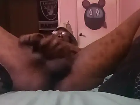 Blkstylion webcam