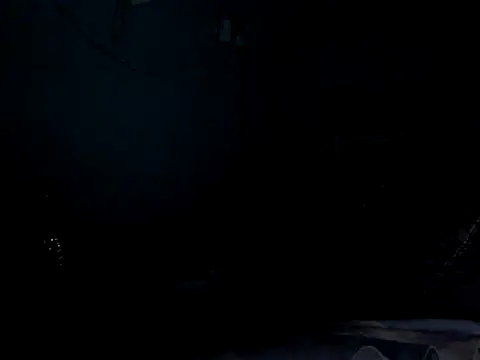 funalu live cam