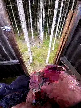 Berniwix2 live cam