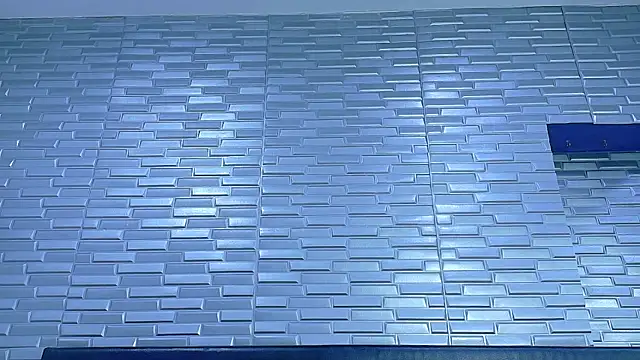 SeraphynLuxora webcam