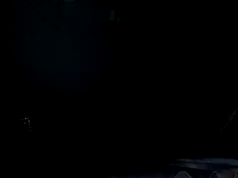 funalu webcam