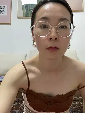 you-520 webcam