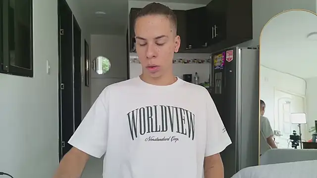 grey___27 webcam