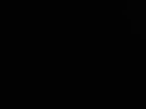 Blkstylion webcam