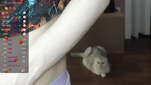 Project_hisoka live cam