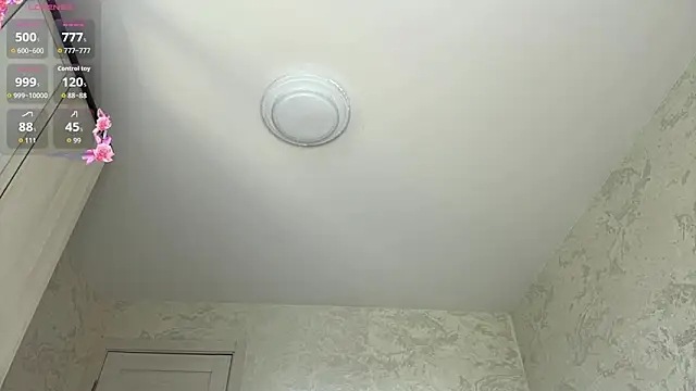 NylaNadler webcam