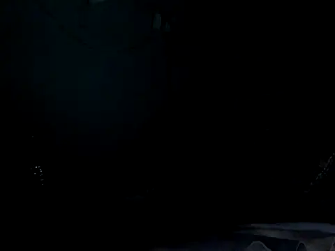 funalu webcam