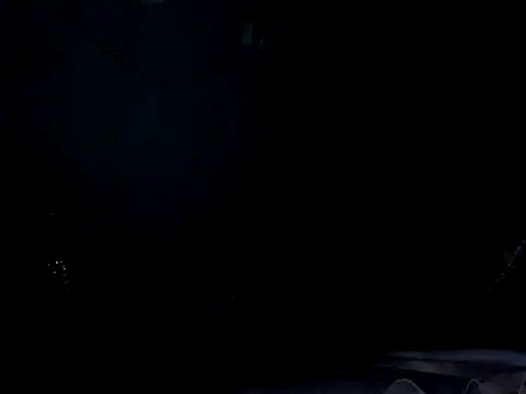 funalu webcam