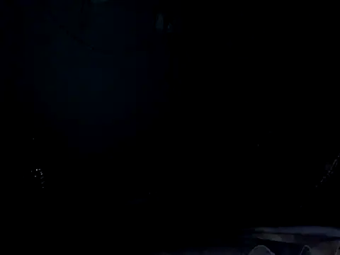 funalu webcam