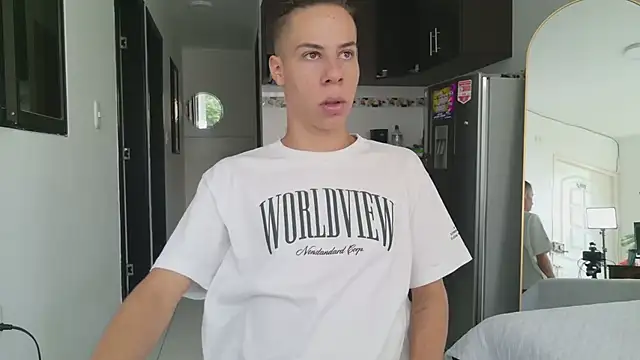 grey___27 webcam