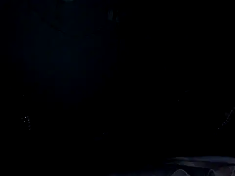 funalu webcam