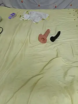 Saso-4 webcam