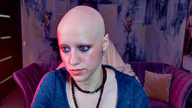 LidaDarknet webcam