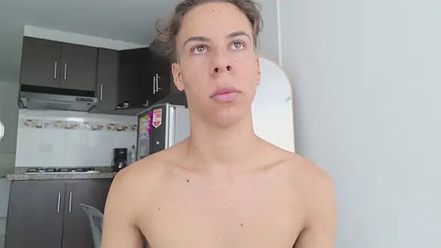 grey___27 webcam