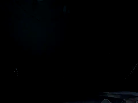funalu webcam