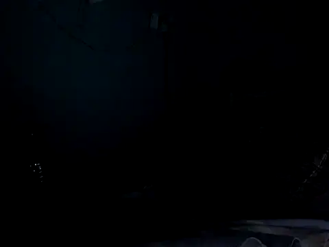 funalu webcam