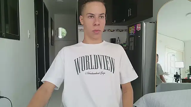 grey___27 webcam