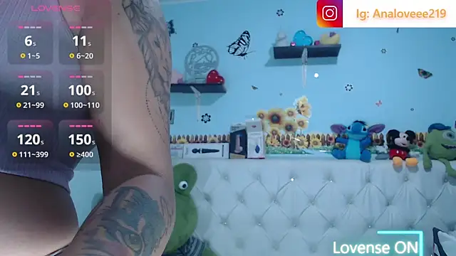 ana_studio webcam