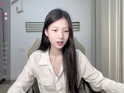 yy-1314 webcam