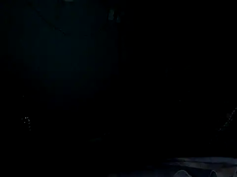 funalu webcam