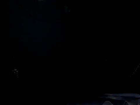 funalu webcam