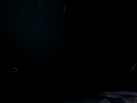 funalu webcam