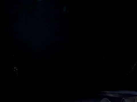 funalu live cam