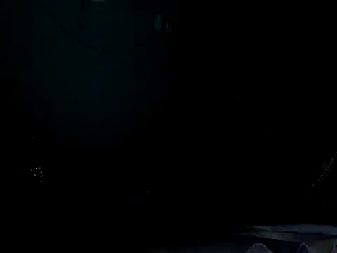 funalu webcam