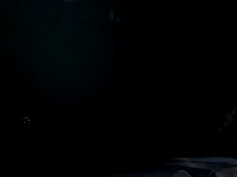 funalu webcam