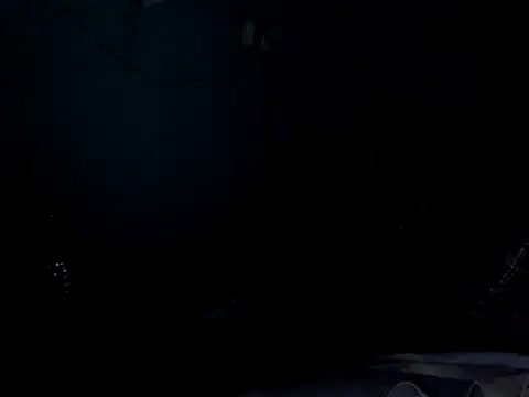 funalu webcam