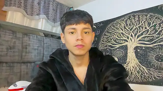 andy_belier23 (M twink) - lovense in my ass