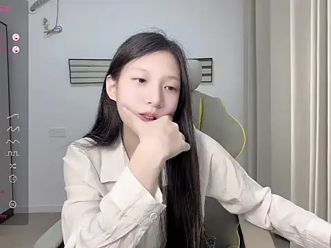 yy-1314 webcam