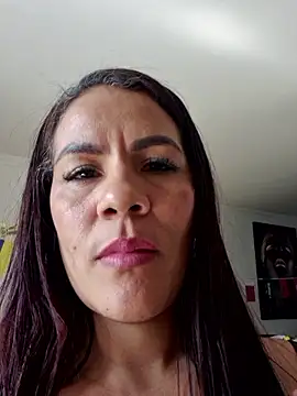 karla-bruni webcam