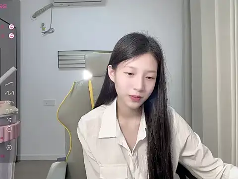 yy-1314 webcam