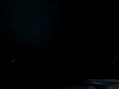 funalu webcam