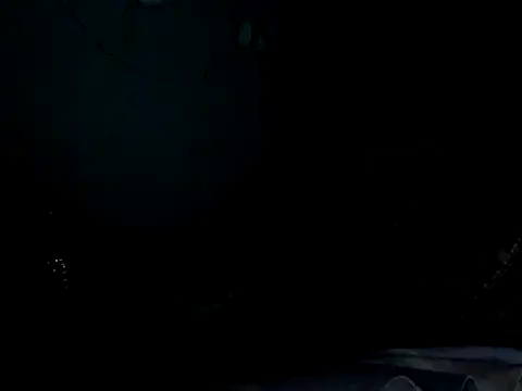 funalu webcam