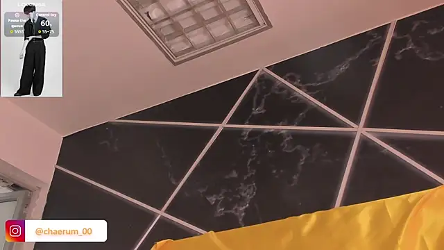 AerumChae webcam