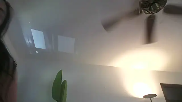 WetFlower69 webcam