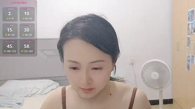 fanfan-FF webcam