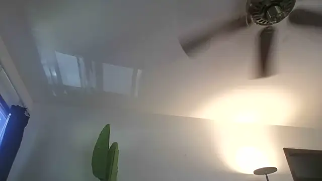 WetFlower69 webcam