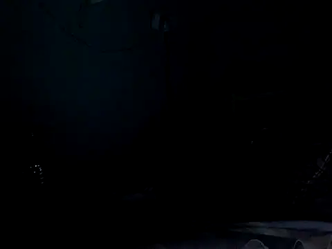 funalu webcam