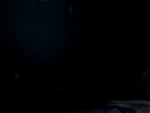 funalu webcam