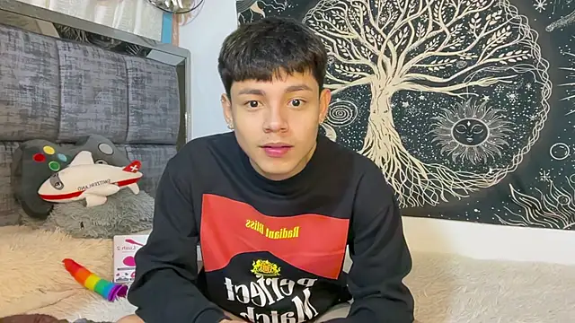 andy_belier23 (M twink) - lovense in my ass