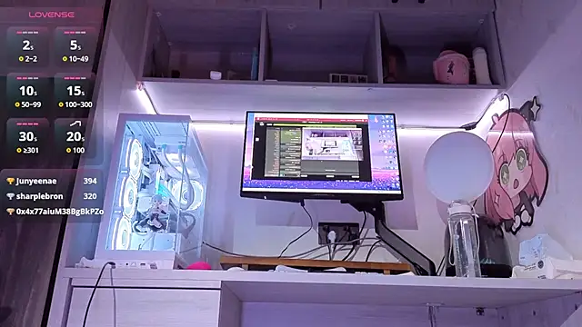 KKi-8 webcam