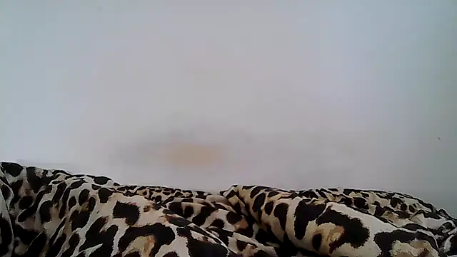 MissVegas webcam