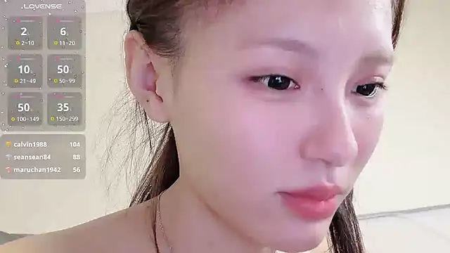 H-2005 webcam