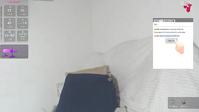 BiirdyDavis webcam