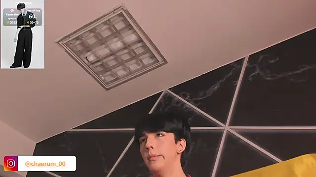 AerumChae webcam