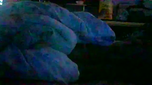 _P3RKY_IMMORTAL3_FIR3_ webcam
